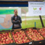 _dsc8258_36980051972_o